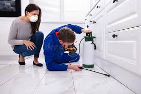 Best Pest Exclusion Services  in Huachuca City, AZ